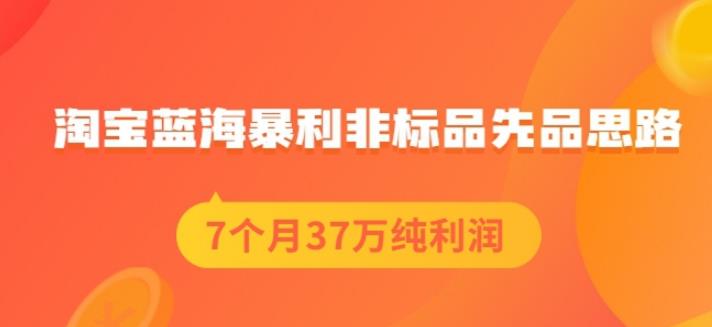 盗坤淘宝蓝海暴利非标品先品思路，7个月37万纯利润，压箱干货分享！【付费文章】-亦可网创