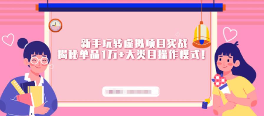 新手玩转虚拟项目实战，揭秘单品1万 大类目操作模式【视频课程】-亦可网创