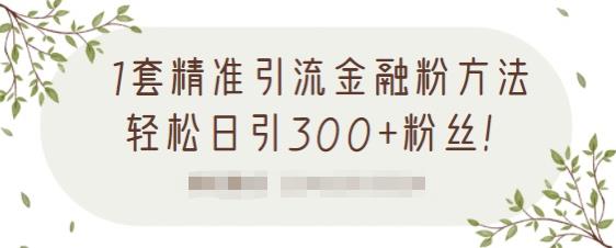 1套精准引流金融粉方法，轻松日引300 粉丝【视频课程】-亦可网创