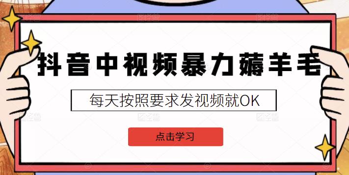 2022抖音中视频暴力薅羊毛白嫖项目：新号每天20块，老号几天几百块，可多号-亦可网创