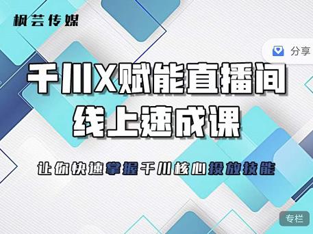 枫芸传媒-线上千川提升课，提升千川认知，提升千川投放效果-亦可网创