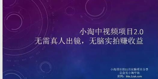 小淘项目组网赚永久会员，绝对是具有实操价值的，适合有项目做需要流程【持续更新】-亦可网创