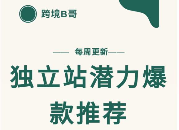 【跨境B哥】独立站潜力爆款选品推荐，测款出单率高达百分之80（每周更新）-亦可网创