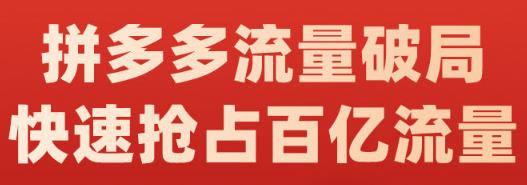 阿杰·拼多多流量破局:如何打黑标，爆款的思路，拼多多流量框架，快速抢占百亿流量-亦可网创
