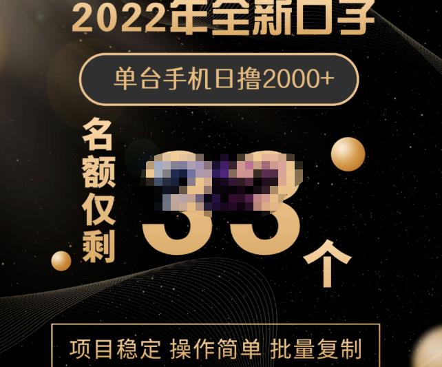 2022年全新口子，手机批量搬砖玩法，一部手机日撸2000-亦可网创
