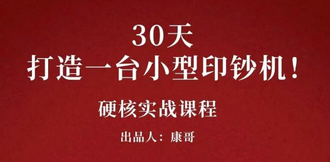 康哥30天打造一台小型印钞机：躺赚30万的项目完整复盘（视频教程）-亦可网创