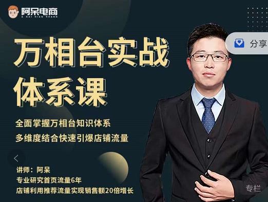 阿呆-万相台实战体系课，帮您全面掌握万相台知识体系-亦可网创