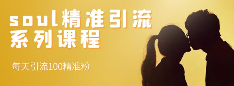 soul精准引流系列课程，每天引流100精准粉-亦可网创
