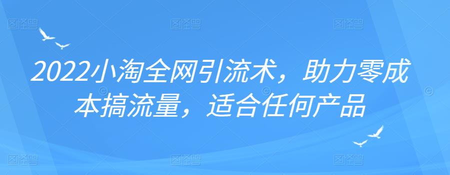 2022年小淘全网引流术，助力零成本搞流量，适合任何产品-亦可网创
