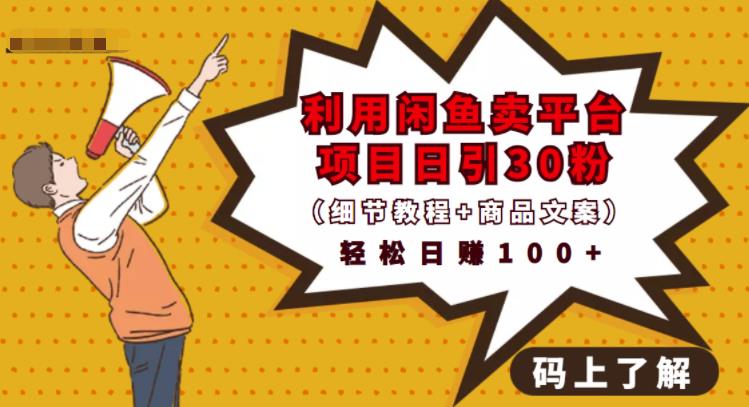 利用闲鱼卖平台项目课程资源日引流30 精准粉丝，轻松日赚100 ，积累人脉可实现二次变现（细节教程 商品文案）-亦可网创