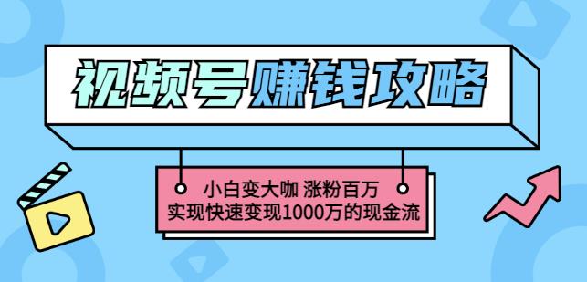 玩转微信视频号赚钱：小白变大咖涨粉百万实现快速变现1000万的现金流-亦可网创