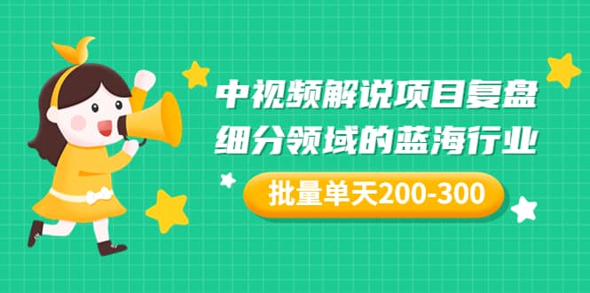 某付费文章：中视频解说项目复盘：细分领域的蓝海行业 批量单天200-300收益-亦可网创