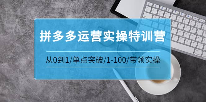 拼多多运营实操特训营：从0到1/单点突破/1-100/带领实操 价值2980元-亦可网创