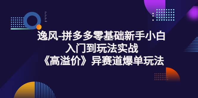 拼多多零基础新手小白入门到玩法实战《高溢价》异赛道爆单玩法实操课-亦可网创