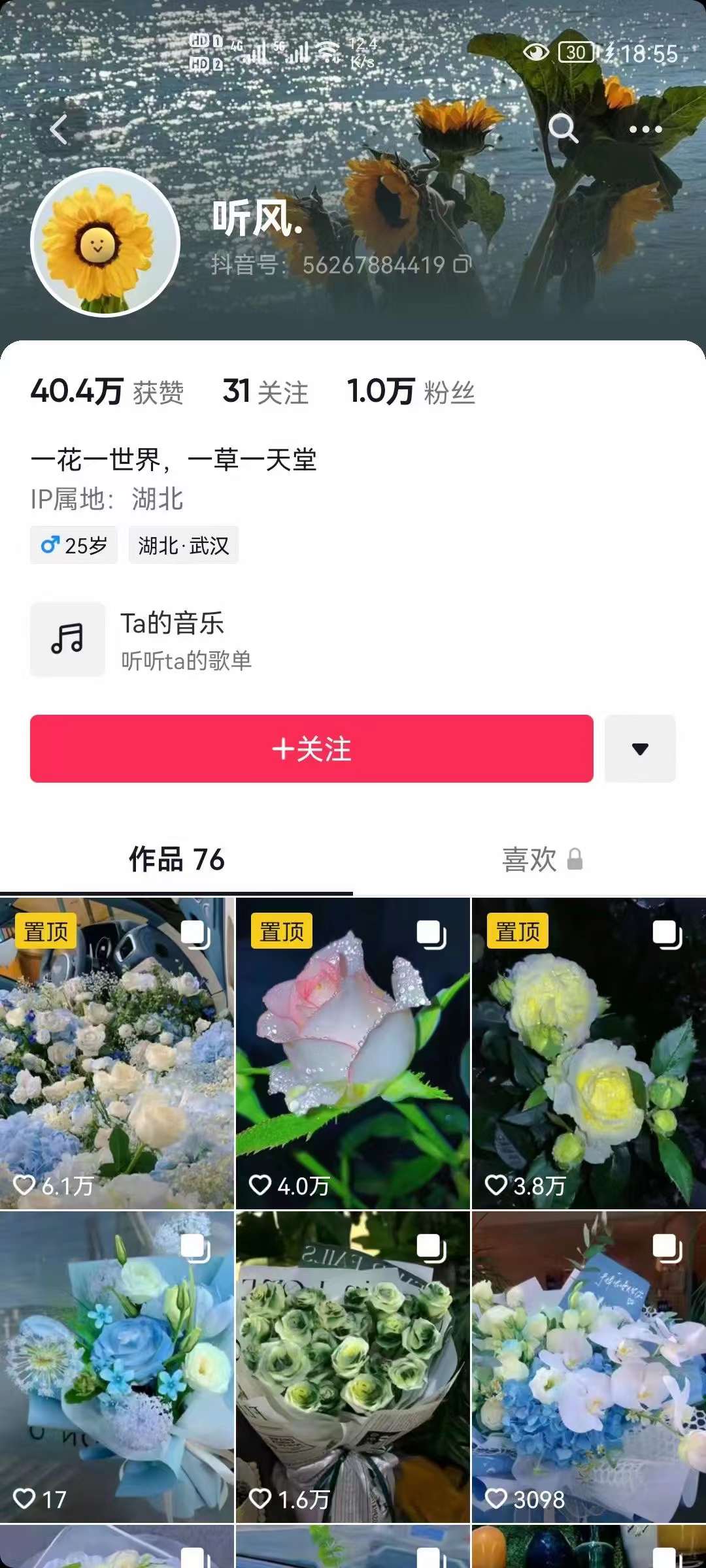 图片[2]-抖音壁纸变现项目：实战日入380 发布壁纸素材获取收益！-亦可网创