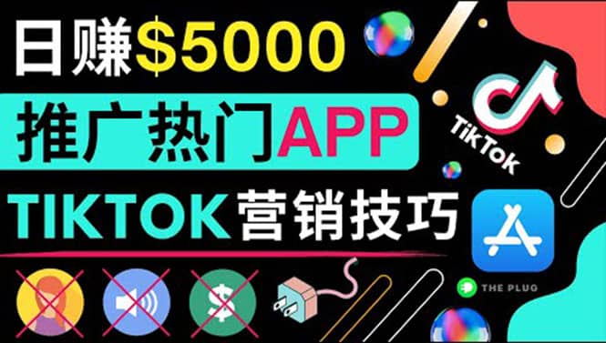 无需露脸，无需录音，无需投资，TIKTOK上传短视频，最高日入5000美元-亦可网创