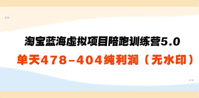 淘宝蓝海虚拟项目陪跑训练营5.0：单天478纯利润（无水印）-亦可网创
