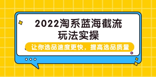 2022淘系蓝海截流玩法实操：让你选品速度更快，提高选品质量（价值599）-亦可网创