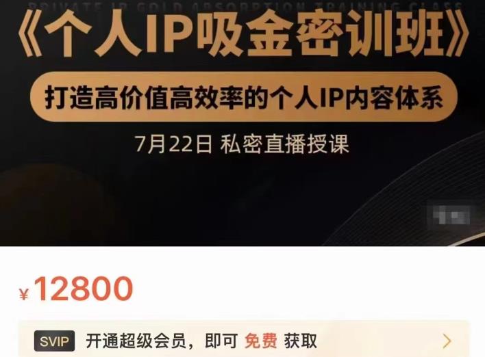 个人IP吸金密训班，打造高价值高效率的个人IP内容体系（价值12800元）-亦可网创