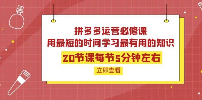 拼多多运营必修课：20节课每节5分钟左右，用最短的时间学习最有用的知识-亦可网创