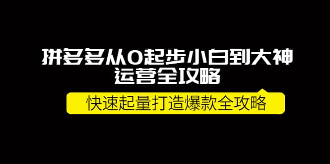 拼多多从0起步小白到大神运营全攻略-亦可网创