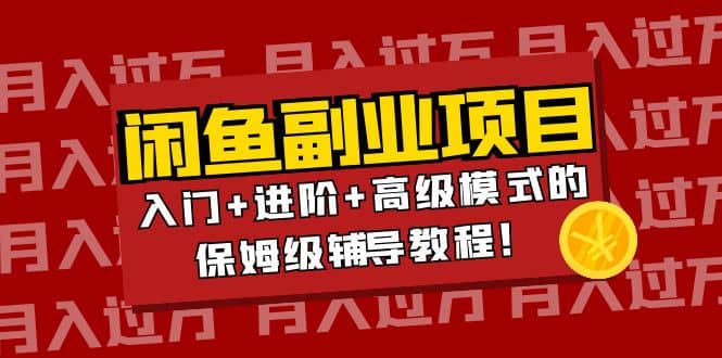 月入过万闲鱼副业项目：入门 进阶 高级模式的保姆级辅导教程-亦可网创