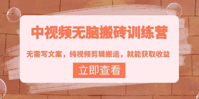中视频无脑搬砖训练营：无需写文案，纯视频剪辑搬运，就能获取收益-亦可网创