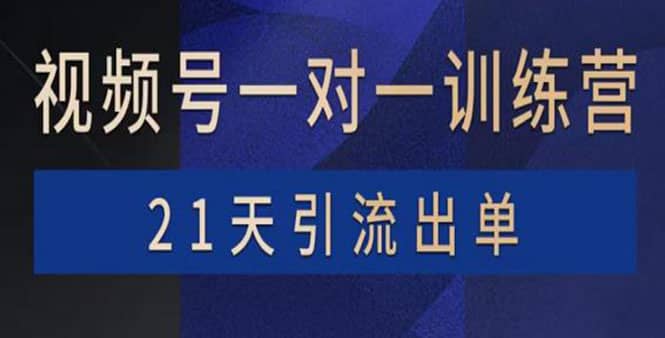视频号训练营：带货，涨粉，直播，游戏，四大变现新方向，21天引流出单-亦可网创