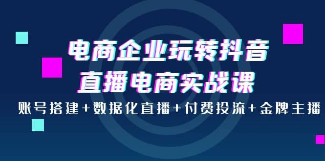 电商企业玩转抖音直播电商实战课：账号搭建 数据化直播 付费投流 金牌主播-亦可网创