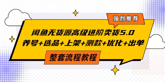 闲鱼无货源高级进阶卖货5.0，养号 选品 上架 测款 优化 出单整套流程教程-亦可网创