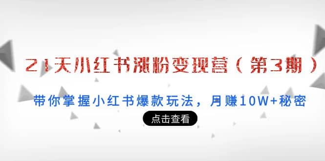 21天小红书涨粉变现营（第3期）：带你掌握小红书爆款玩法，月赚10W 秘密-亦可网创