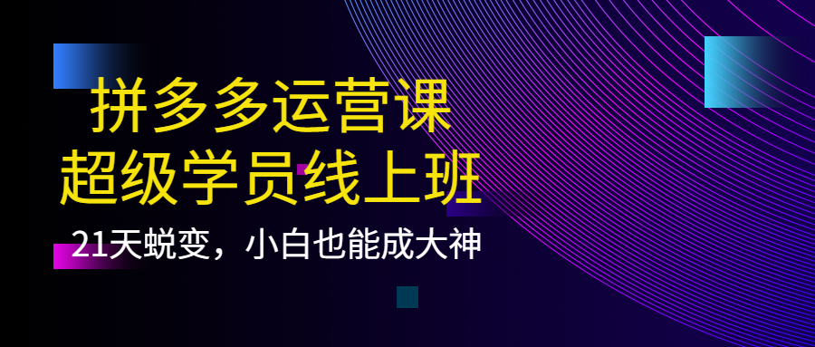 拼多多运营课：超级学员线上班，21天蜕变，小白也能成大神-亦可网创