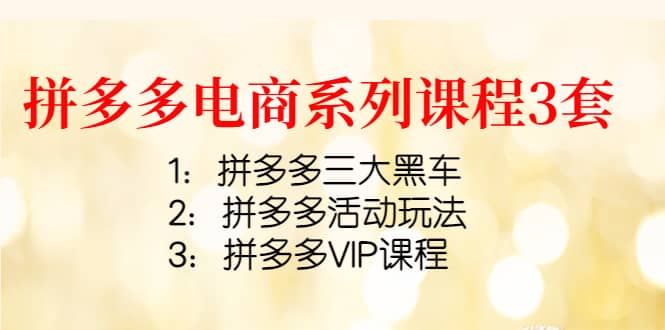拼多多电商系列课程3套：拼多多三大黑车 拼多多活动玩法 拼多多VIP课程-亦可网创