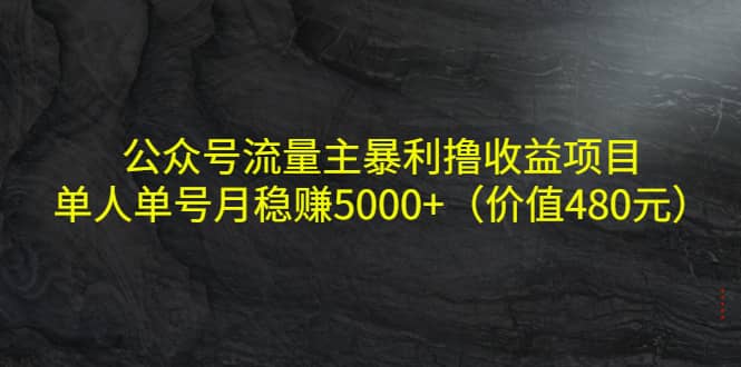 公众号流量主暴利撸收益项目，单人单号月稳赚5000 （价值480元）-亦可网创