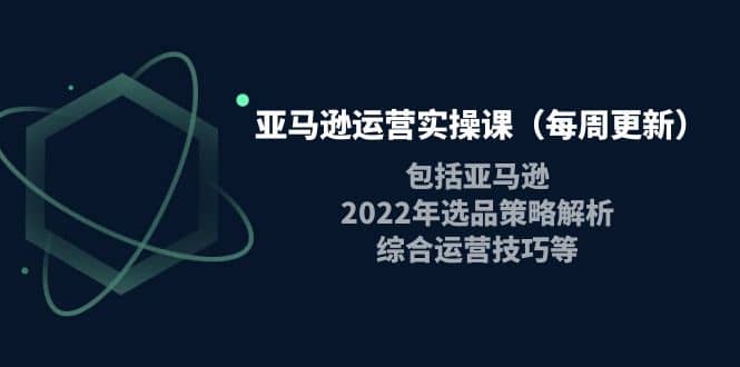 亚马逊运营实操课（每周更新）包括亚马逊2022选品策略解析，综合运营技巧等-亦可网创