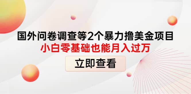 国外问卷调查等2个暴力撸美元项目，小白零基础也能月入过万-亦可网创