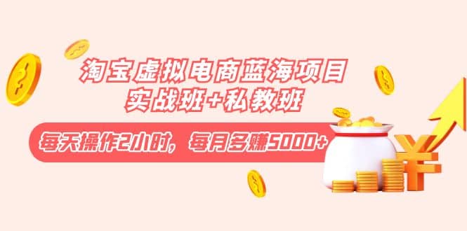 淘宝虚拟电商蓝海项目实战班 私教班-亦可网创