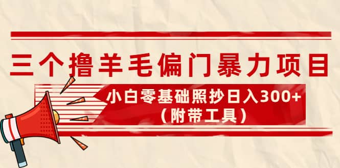 外面卖998的三个撸羊毛项目，小白零基础照抄（附带工具）-亦可网创