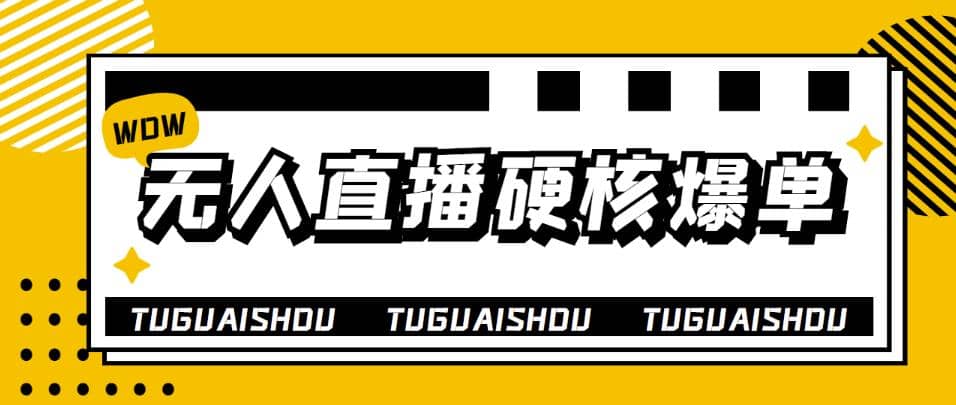 大飞无人直播硬核爆单技术，轻松玩转无人直播-亦可网创
