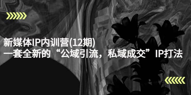 新媒体IP内训营(12期)，一套全新的“公域引流，私域成交”IP打法，直接带走-亦可网创