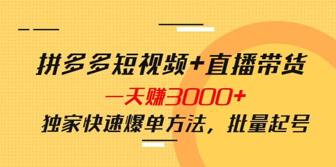 拼多多短视频 直播带货，一天赚3000 独家快速爆单方法，批量起号-亦可网创
