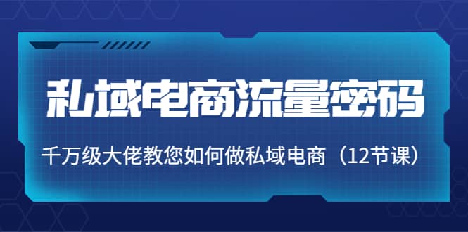 私域电商流量密码：千万级大佬教您如何做私域电商（12节课）-亦可网创