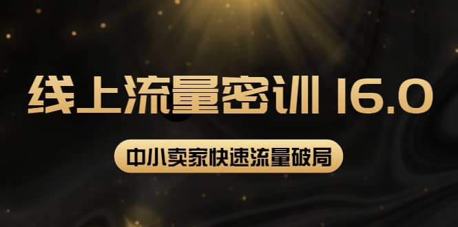 2022秋秋线上流量密训16.0：包含 暴力引流10W 中小卖家流量破局技巧 等等！-亦可网创