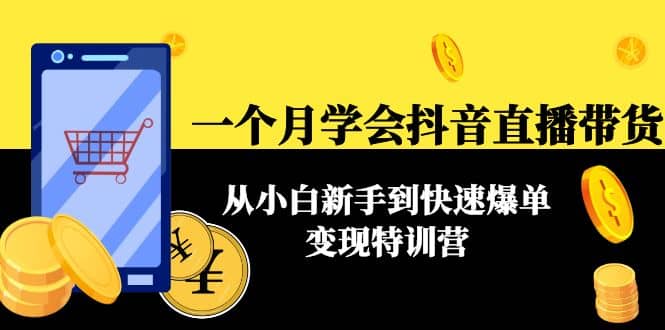 一个月学会抖音直播带货：从小白新手到快速爆单变现特训营(63节课)-亦可网创