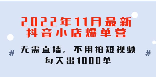 2022年11月最新抖音小店爆单训练营：无需直播，不用拍短视频，每天出1000单-亦可网创