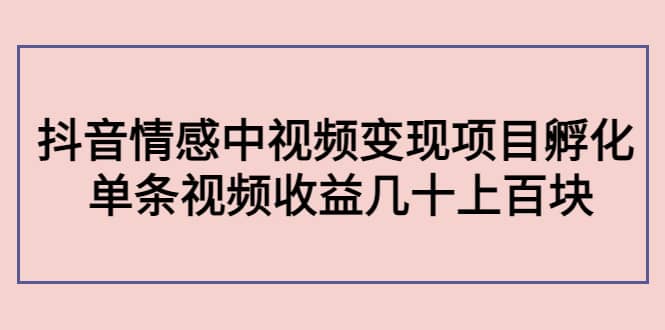 抖音情感中视频变现项目孵化-亦可网创