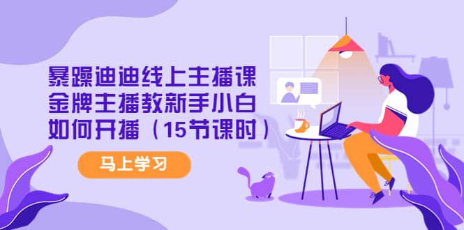 暴躁迪迪线上主播课，金牌主播教新手小白如何开播（15节课时）-亦可网创