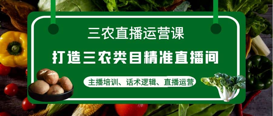 三农直播运营课：打造三农类目精准直播间，主播培训、话术逻辑、直播运营-亦可网创