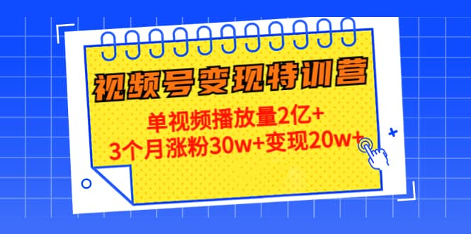 20天视频号变现特训营：单视频播放量2亿-亦可网创
