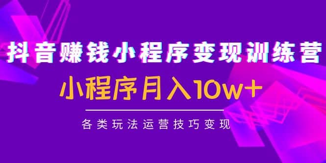 抖音小程序变现训练营：小程序各类玩法运营技巧变现-亦可网创